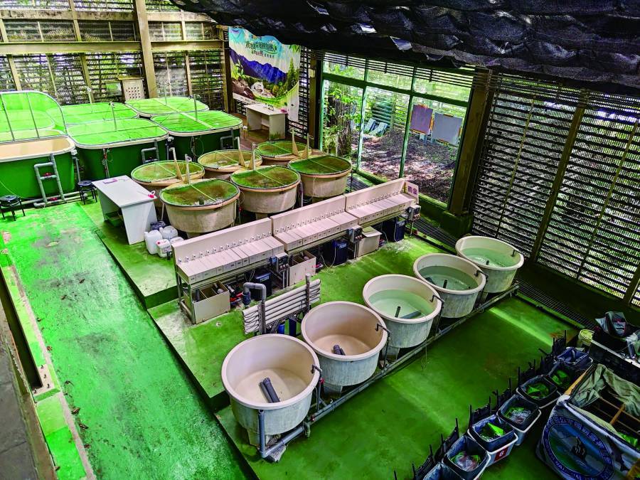 從狹小的鹿港分所到今日寬敞明亮的新復育中心